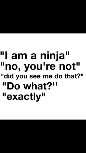 i_m_a_ninja_by_cosenza987-d8640n5.png