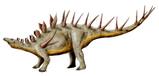 Kentrosaurus_NT.jpg