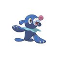 popplio.jpg