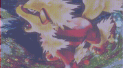 A.gif