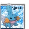 Mudkip (Avatar).jpg