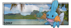 Mudkip (Banner).png