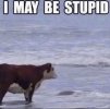 IMG_5235.jpeg
