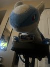 IMG_4154.jpeg