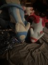 IMG_4018.jpeg