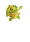 rendered ludicolo.png