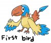 firstbird.jpg