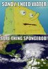 funny-Spongebob-memes-12.jpg