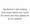 adulthood is like looking both ways before you cross a street then getting hit by an air plane.jpg