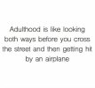 adulthood is like looking both ways before you cross a street then getting hit by an air plane.jpg