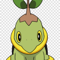 TurtwigSupreme
