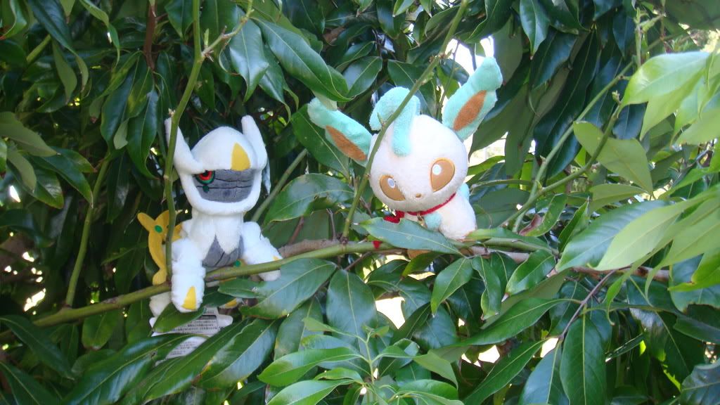 DSC00423.jpg