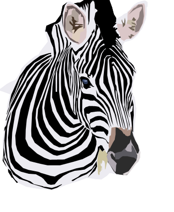 zebravectpicture.png