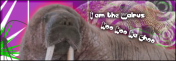 geohippiesig.png
