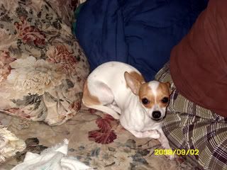 Picture001.jpg