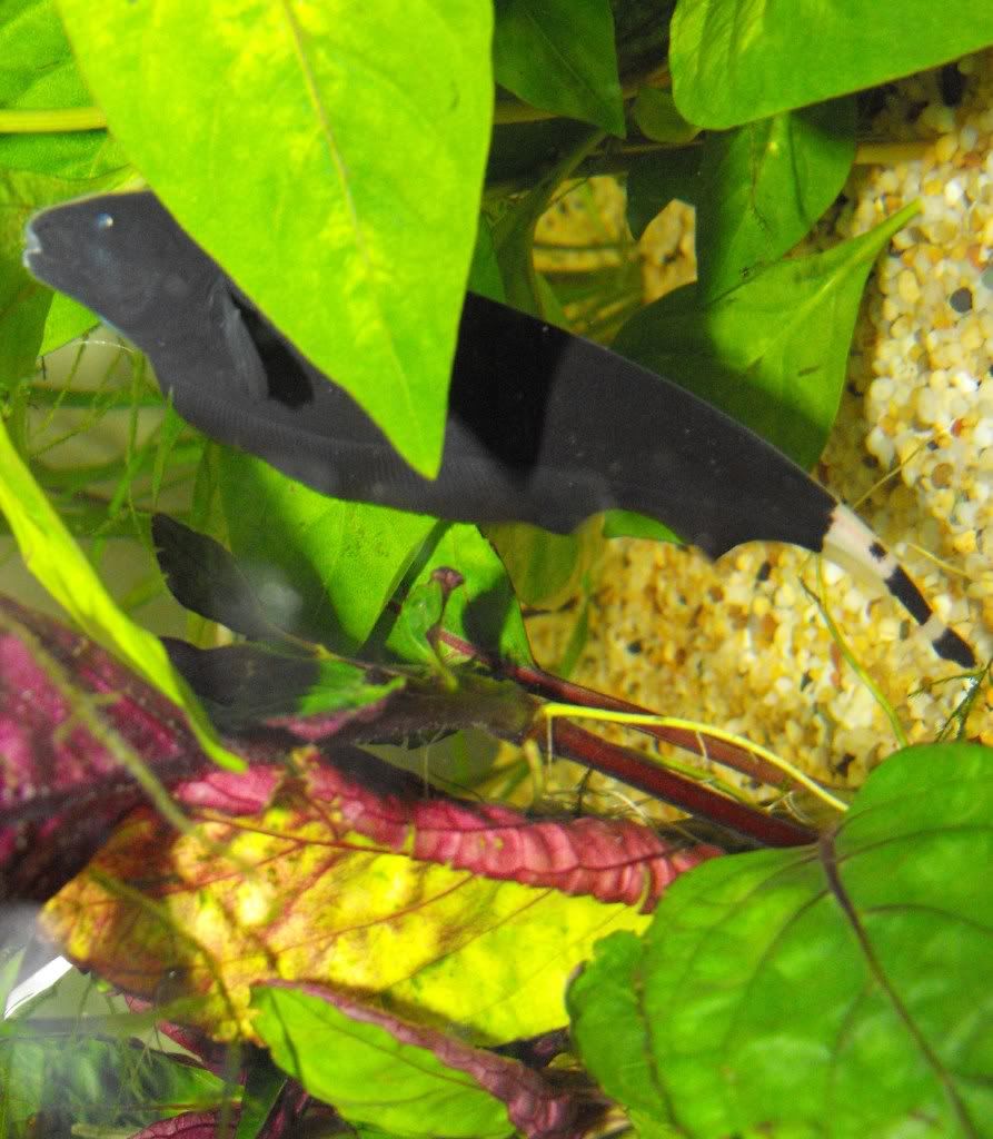 DSCF3014.jpg