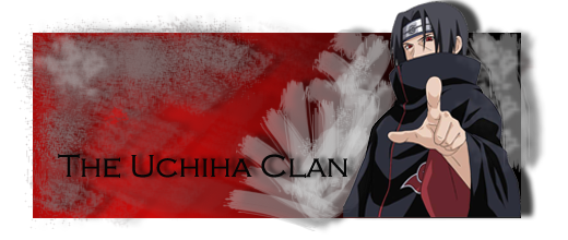 r95banner1.png