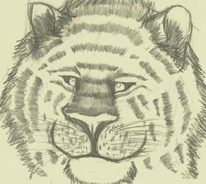 semi_realistic_cat_by_ligerzbite-d4xy9ls.jpg