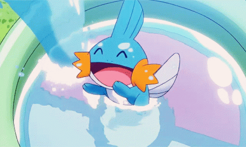 mudkip.gif