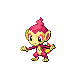 Chimchar2.png