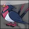 swellow.jpg