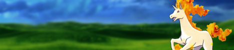 Banner-Rapidash.png