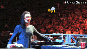 B97Ll.gif