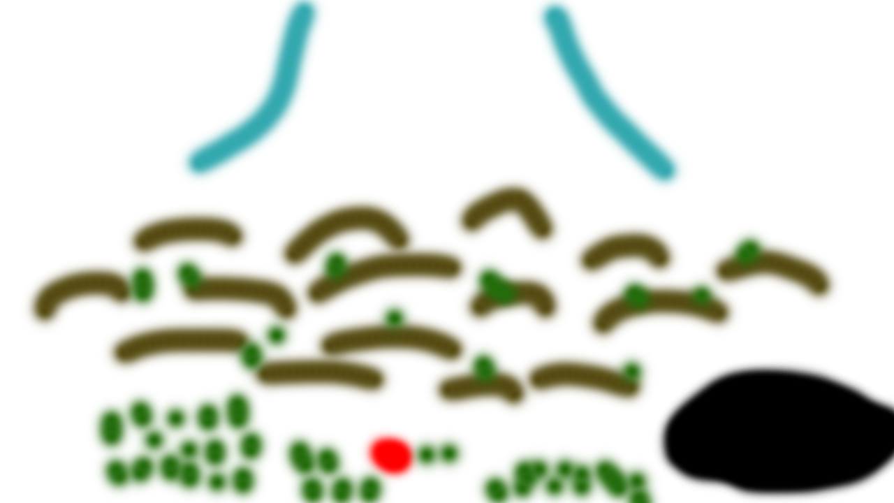 B8zZLPz.png