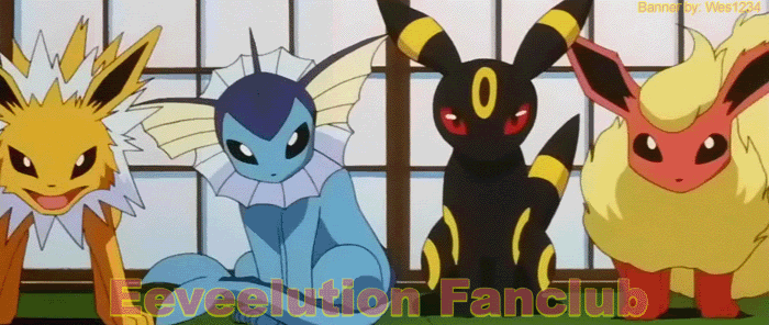 EeveelutionBanner.gif