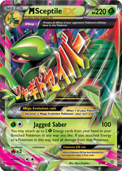 XY7_EN_8.png