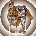 Avvy-1.png