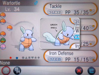 sh_wartortle_zpsf0449bbf.jpg