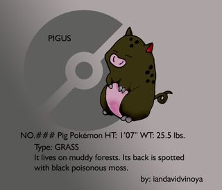 infoPigus.jpg