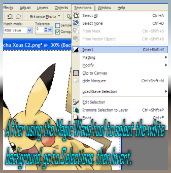 SugiGuideImage16.png