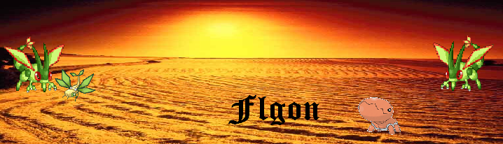 FlgonBanner.png