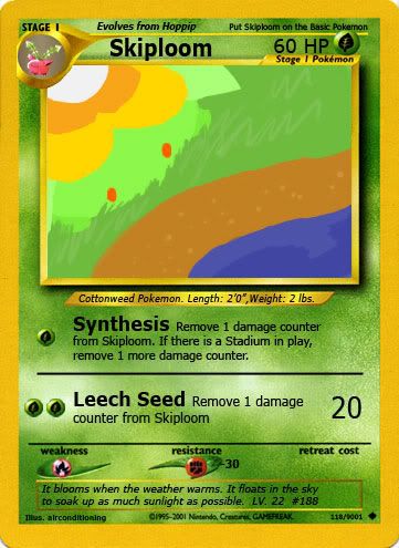 Skiploom.jpg