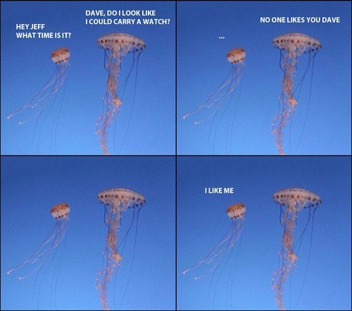 tumblr_lqctv8pZsp1qb5gkjo1_500.jpg