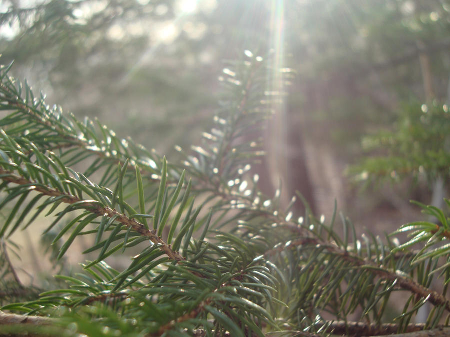 glorious_by_spm3-d4ukrnz.jpg