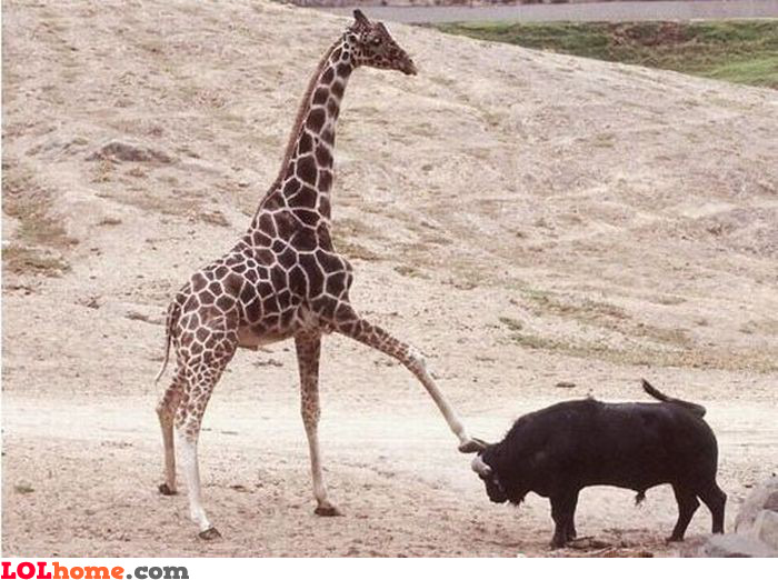 funny-picture-9979524454.jpg