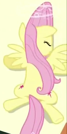 Fluttersnap.png