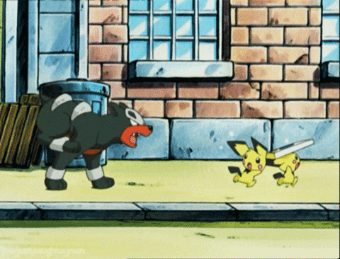 giphy.gif