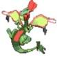 FLYMEGA-1.jpg