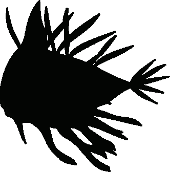 fifishadow.png