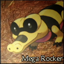 pokemon_mega_rocker_by_amaestrog-d30rx7x.png