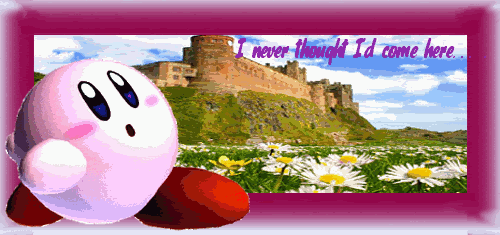 kirbyfinal.gif