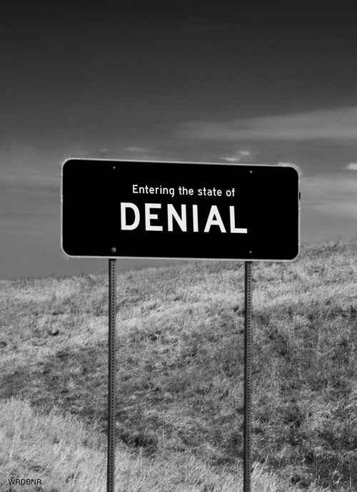 state+of+denial.jpg