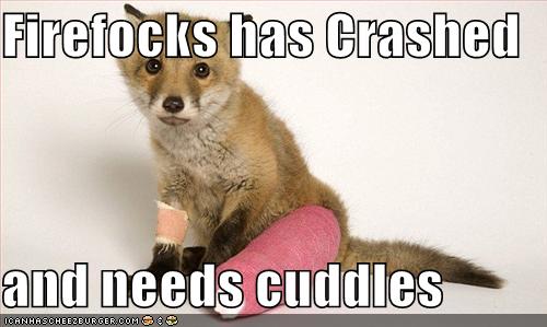 20090209_firefox_has_crashed.jpg