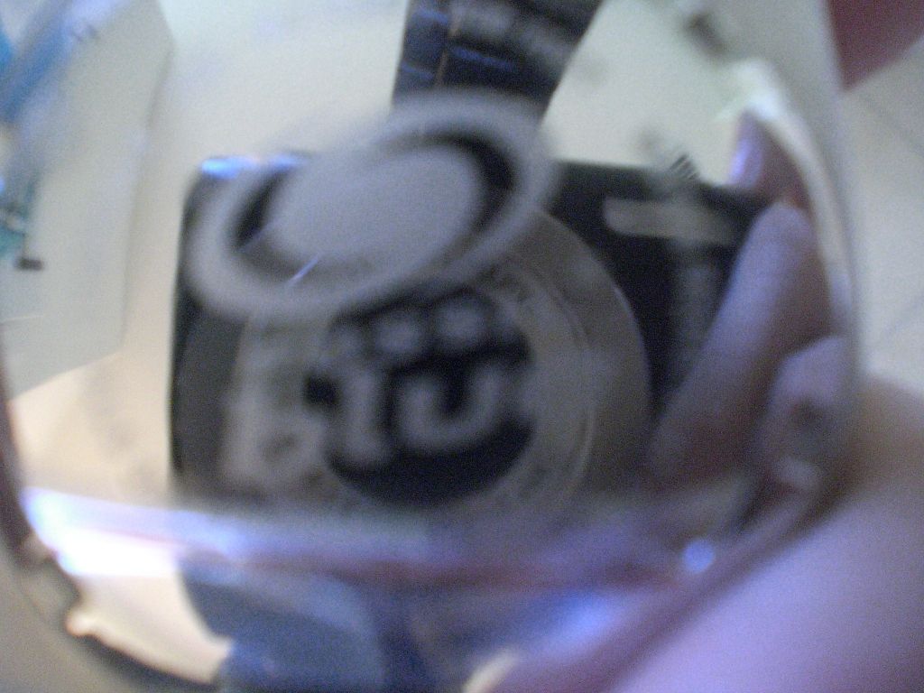 CIMG0099.jpg