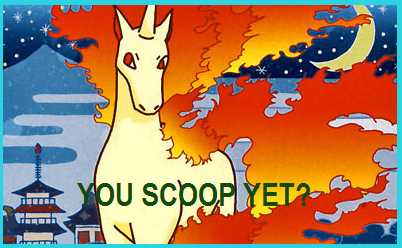 Rapidash.png