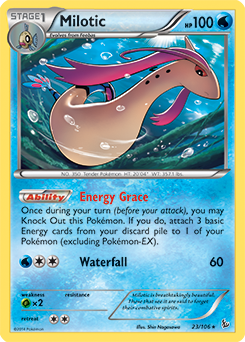 XY2_EN_23.png